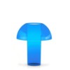 Jellyfish klein