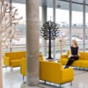 Lovi Tree - Afbeelding 8
